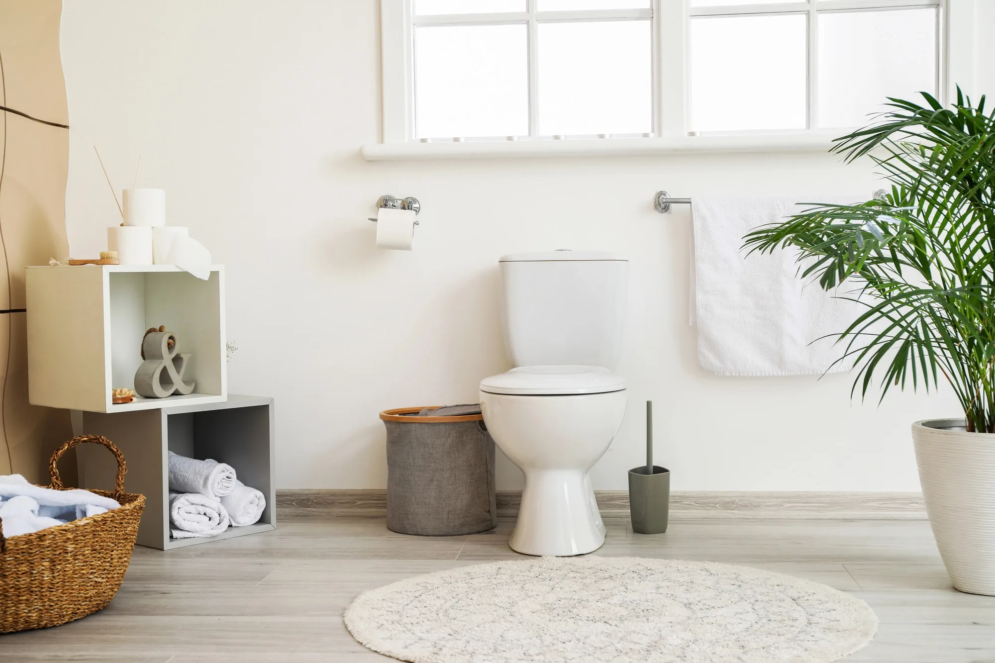 Renovated toilet with a wall-mounted cistern beside open storage cubes